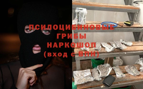 spice Алзамай