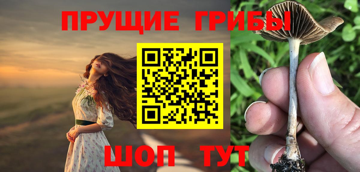 Шатура  Галлюциногенные грибы Cubensis  Вход с VPN 